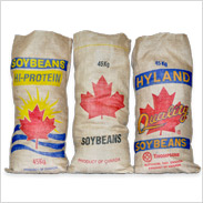 Burlap Bags